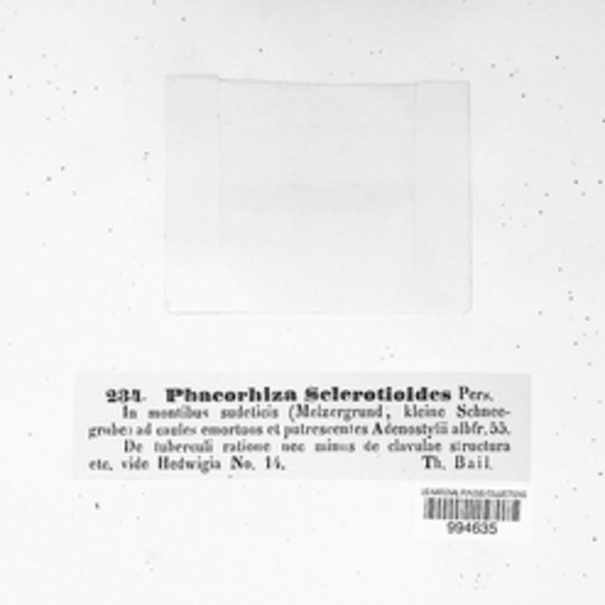 Phacorhiza sclerotioides image